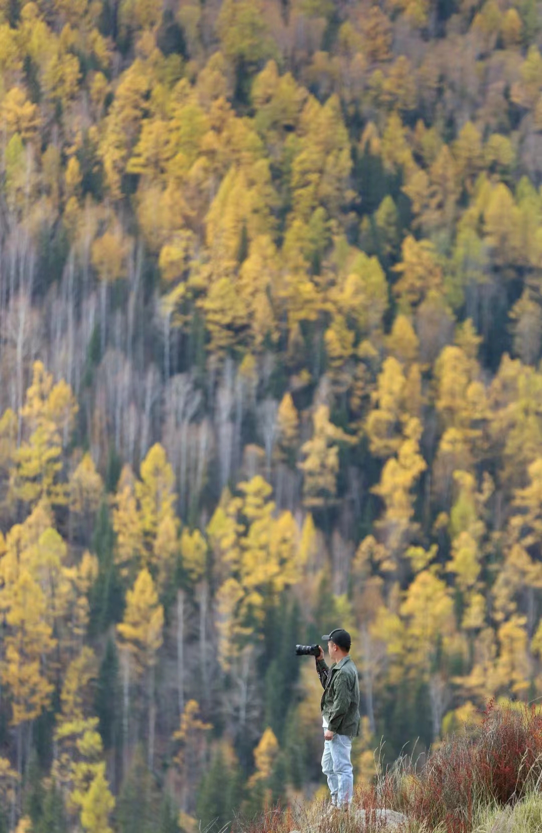 A Man stands in a valley and lifts his camera