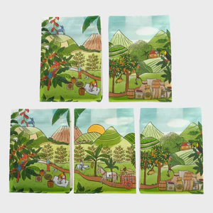 Seasonal 5 Bag Promotion Pack